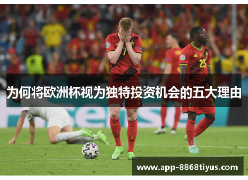 为何将欧洲杯视为独特投资机会的五大理由 为何将欧洲杯视为独特投资机会的五大理由