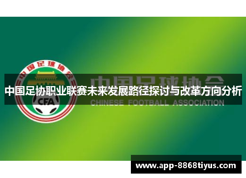 中国足协职业联赛未来发展路径探讨与改革方向分析