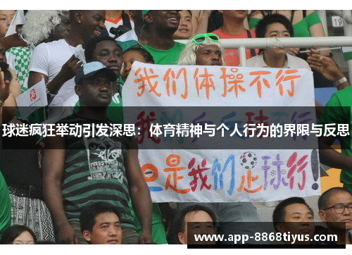 球迷疯狂举动引发深思：体育精神与个人行为的界限与反思
