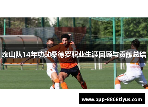 泰山队14年功勋桑德罗职业生涯回顾与贡献总结