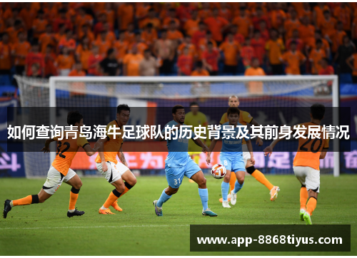 如何查询青岛海牛足球队的历史背景及其前身发展情况
