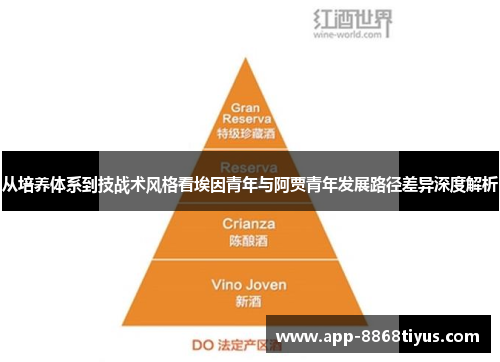 从培养体系到技战术风格看埃因青年与阿贾青年发展路径差异深度解析